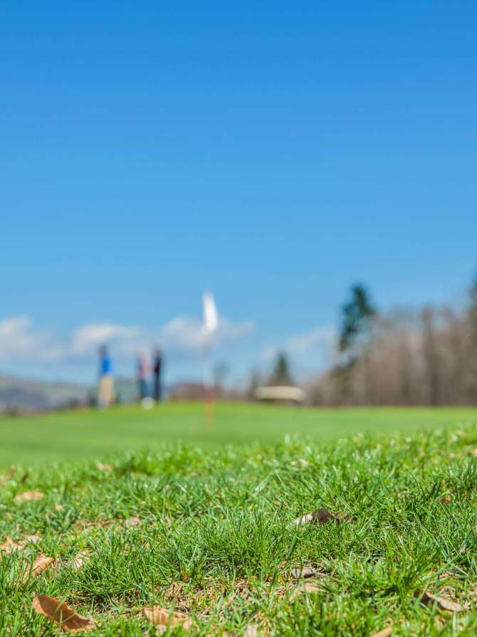 A closeup shot of the grassy ground of a f=golf course with a blurred background